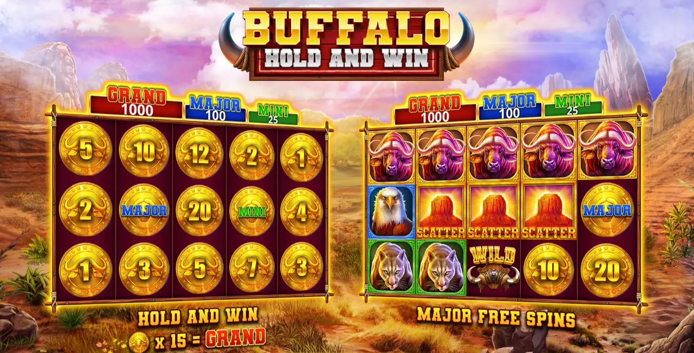 Buffalo Hold and Win